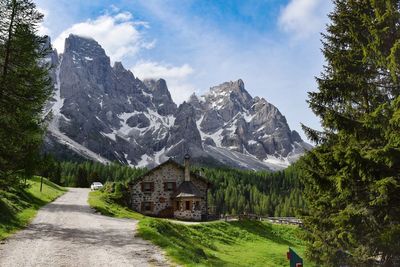 Malga venegiota, sullo sfondo le pale di san martino. passo rolle, trentino alto adige.