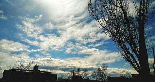 Low angle view of silhouette trees and buildings against sky