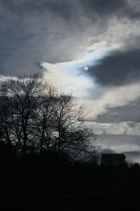 Low angle view of silhouette tree against sky