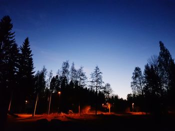 Silhouette of trees against clear sky at night