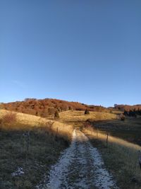 Scenic view of road amidst field against clear blue sky