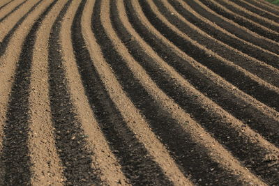 Full frame shot of agricultural field