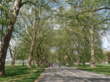 Group of people in park