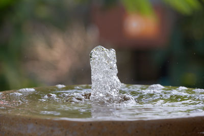 Garden water fountain