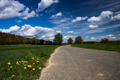 Road amidst grassy field and trees against sky