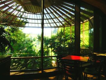 View of trees through window