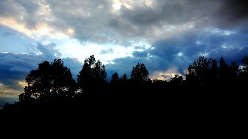 Low angle view of silhouette trees against sky