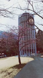 Bare tree against built structure