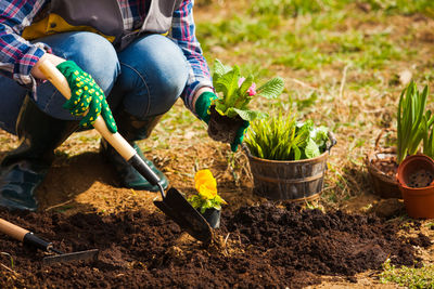 Low section of people holding potted plant on field