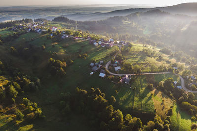 High angle view of trees on landscape