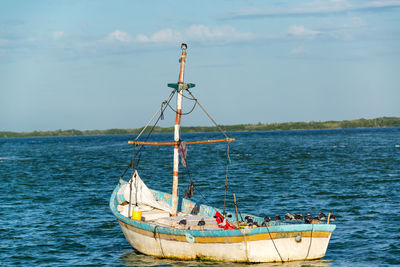 Birds perching on boat over sea against sky