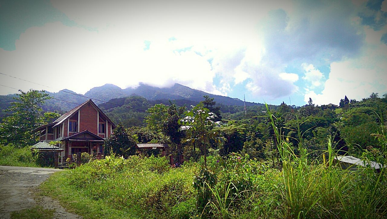 Gunung salak