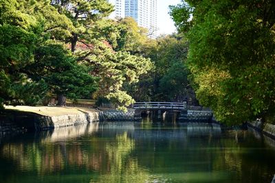 Bridge over river by trees in park