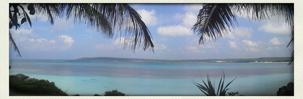 sky, transfer print, water, tranquil scene, sea, scenics, tranquility, cloud - sky, beauty in nature, auto post production filter, cloud, horizon over water, beach, nature, cloudy, shore, tree, reflection, palm tree, idyllic