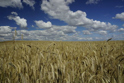 Scenic view of field against cloudy sky