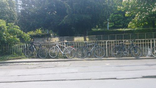 Cars parked in parking lot