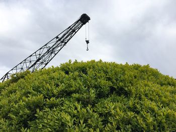 Low angle view of crane by tree against cloudy sky