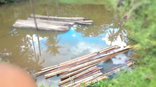 High angle view of reflection of trees in lake