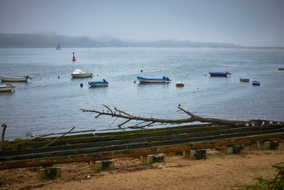 Sailboats moored on sea against sky