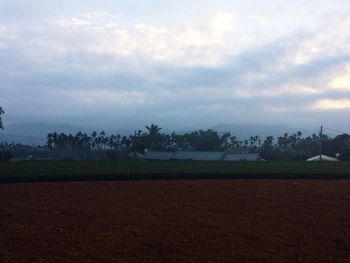 Scenic view of trees against sky