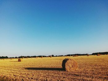 Scenic view of field against clear sky