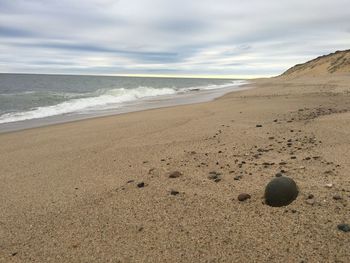 Scenic view of beach against sky