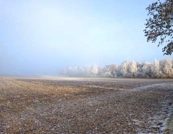 Scenic view of field against clear sky