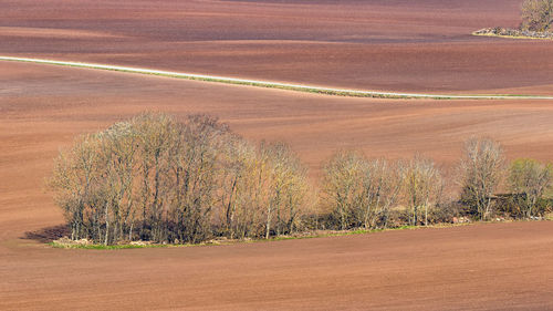 Scenic view of land and trees on field