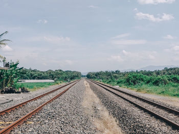 Railroad tracks amidst trees against sky