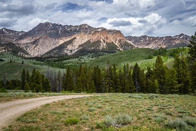 Scenic view of pine trees and mountains against sky