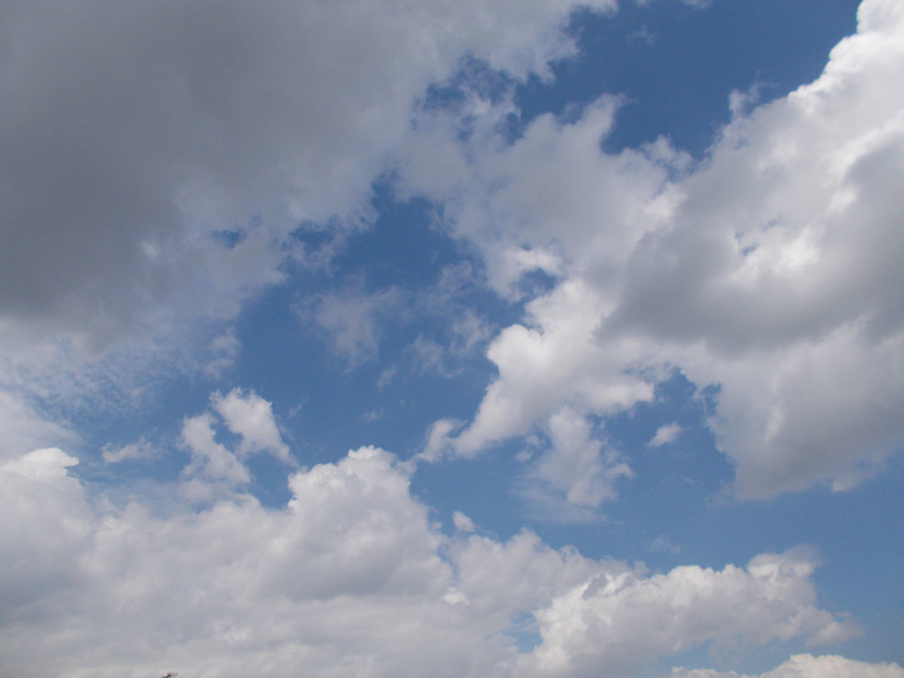 Blue and cloud sky