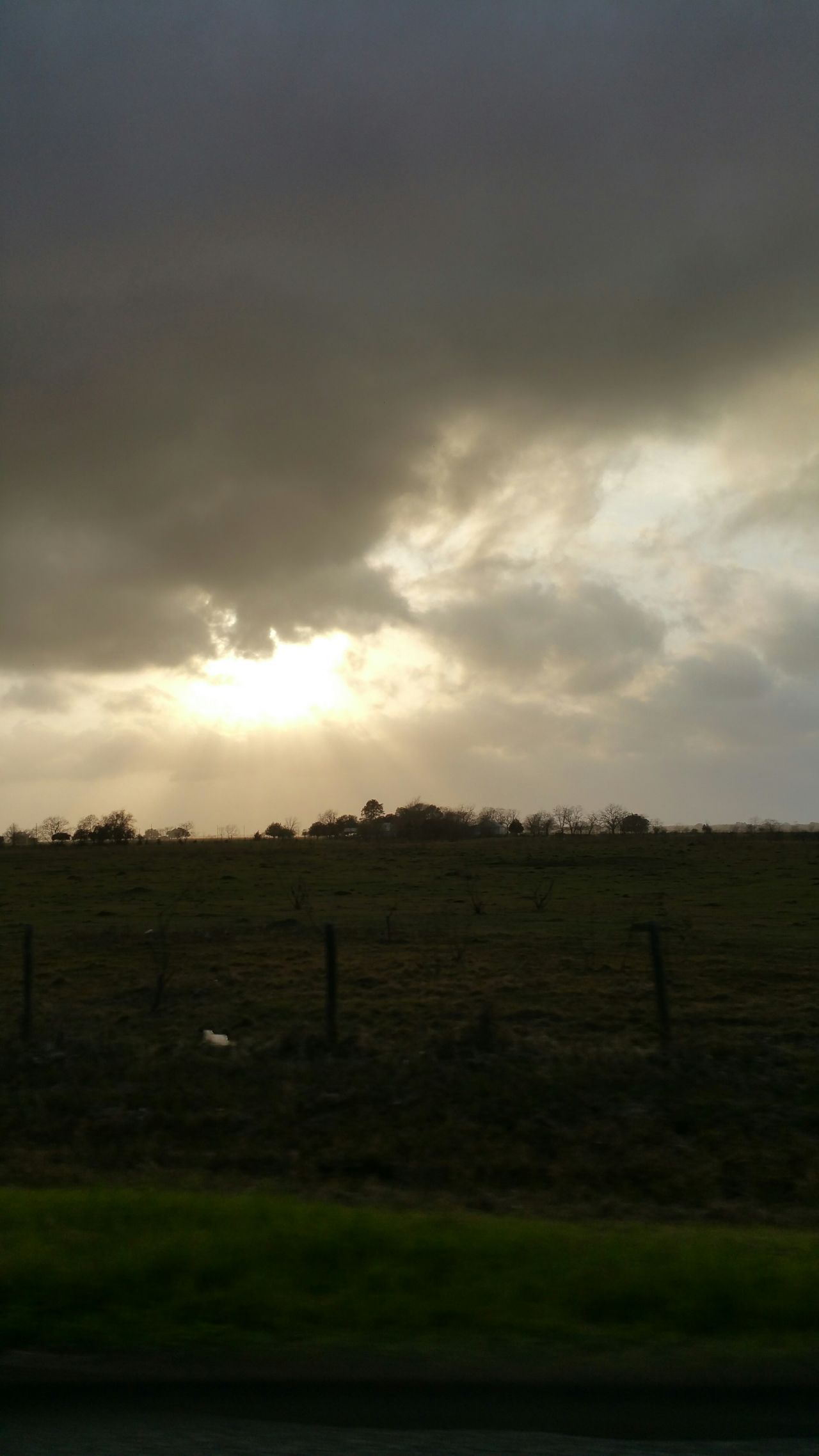 Brazos Bend State Park Nature Center