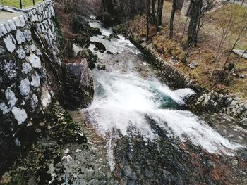 Scenic view of waterfall in forest