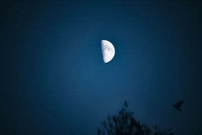 Low angle view of moon in sky at night