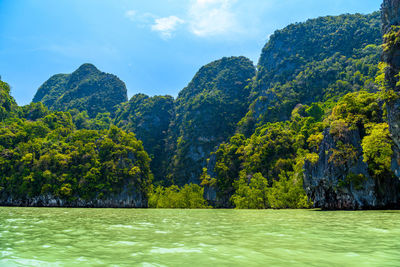 Scenic view of river by trees against sky