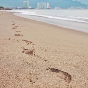 View of sandy beach