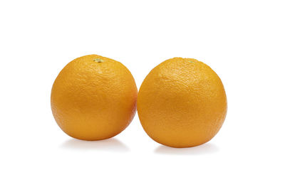 Close-up of orange fruit against white background