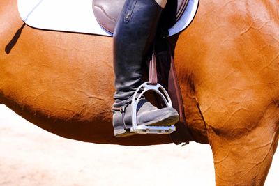 Low section of person on saddle while sitting on horse