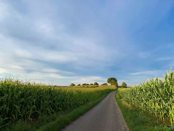 Road amidst agricultural field against sky