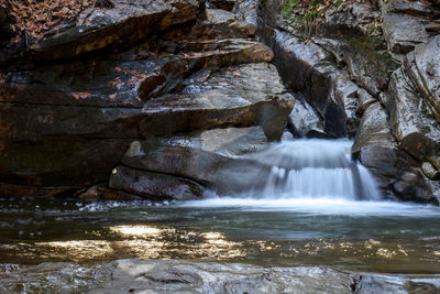 Scenic view of waterfall in forest