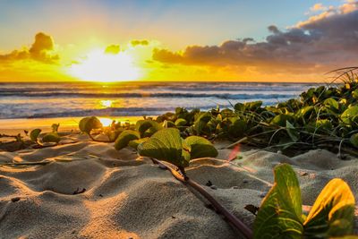 Scenic view of sea against sky during sunset
