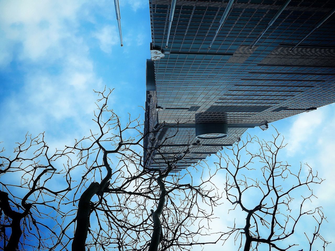 low angle view, architecture, built structure, building exterior, sky, bare tree, cloud - sky, branch, cloud, tree, building, day, outdoors, no people, old, tower, cloudy, power line, blue, silhouette