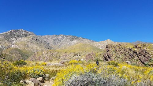 Scenic view of mountains against clear blue sky