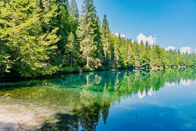 Scenic view of lake by trees against sky