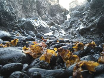 Close-up of water