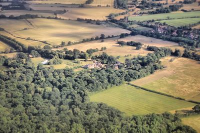 Scenic view of agricultural field by houses and trees