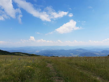 Scenic view of field against sky