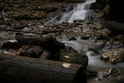 Close-up of water flowing through rocks in forest