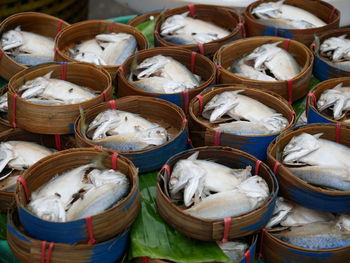 High angle view of fish for sale at market
