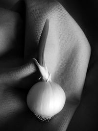 Midsection of woman holding pumpkin